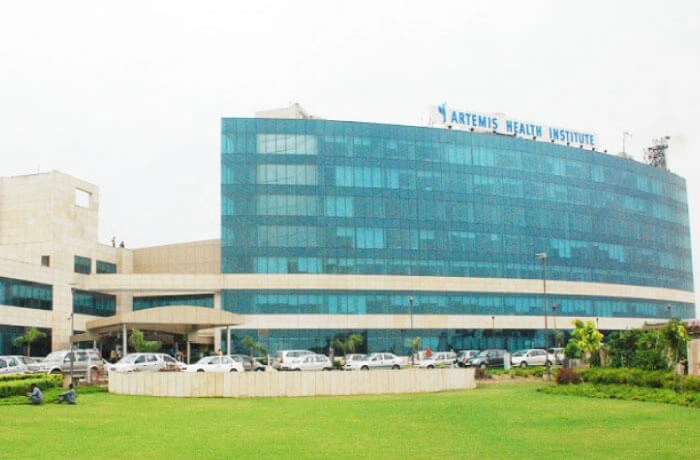Artemis Hospital
